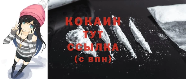 соль ск Вяземский