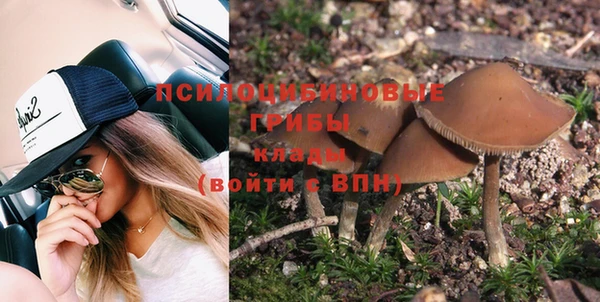 спайс Вязьма