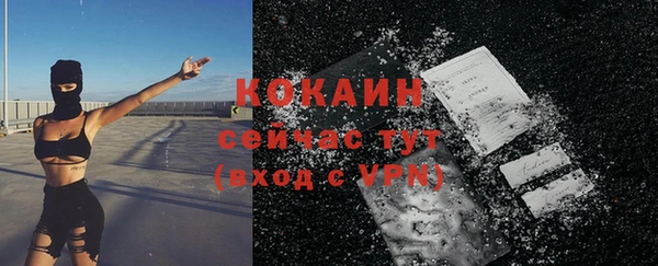 соль ск Вяземский