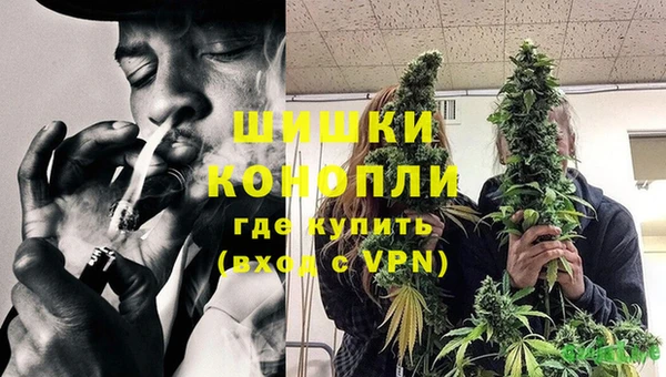 соль ск Вяземский