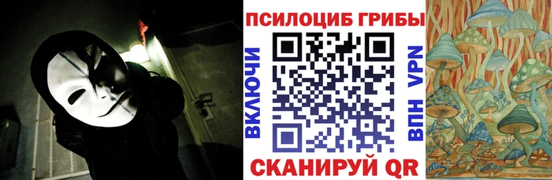 купить наркоту  Домодедово  Псилоцибиновые грибы Cubensis 